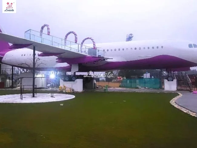 Romantic Dinner On Airplane Wing, Sector 59, Gurugram 05