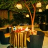 Romantic Outdoor Candlelight Dinner At Radisson Sector 29 Gurgaon